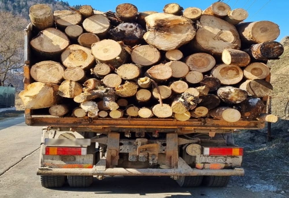 Şoferi sancţionaţi pentru că transportau material lemnos, dar nu figurau înregistrați în aplicaţiile de profil ca profesioniști  