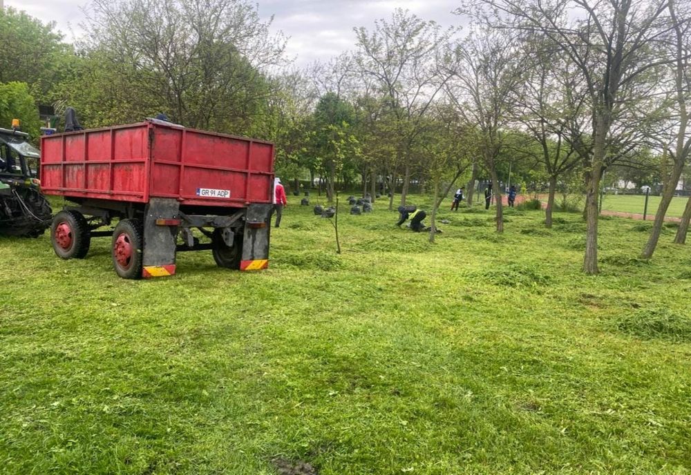 Primăriile pot angaja zilieri pentru îngrijirea parcurilor şi grădinilor 
