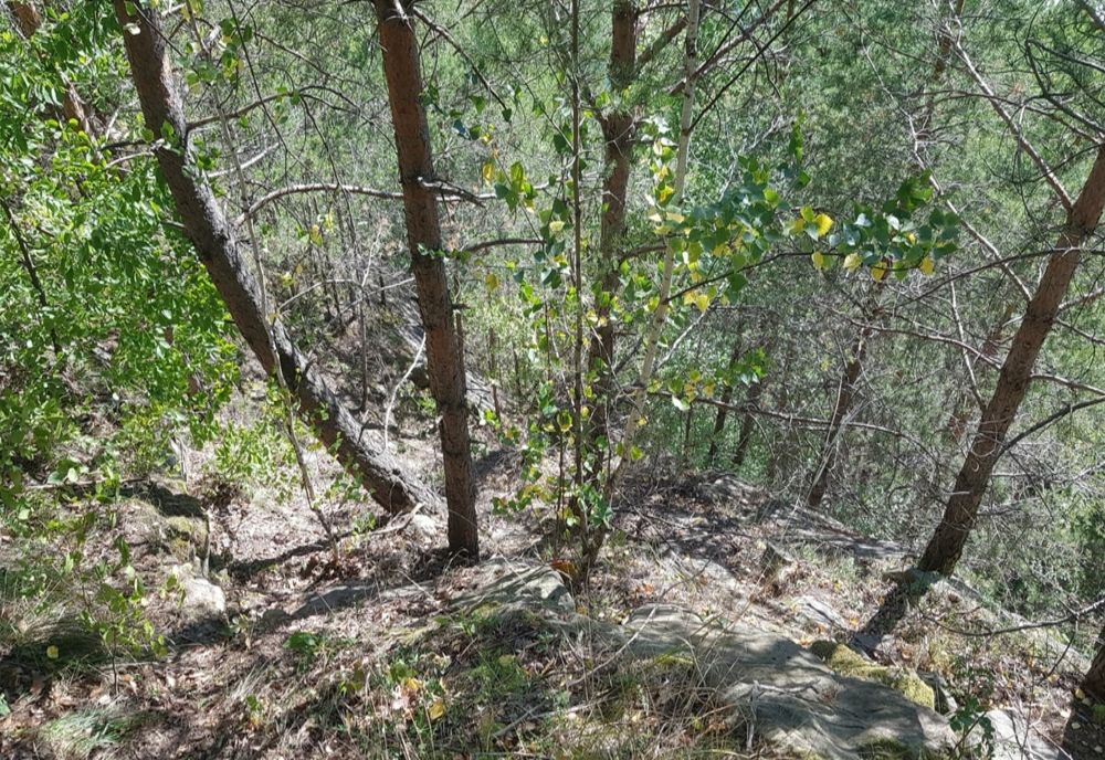 A vrut să-și facă selfie și a căzut în gol