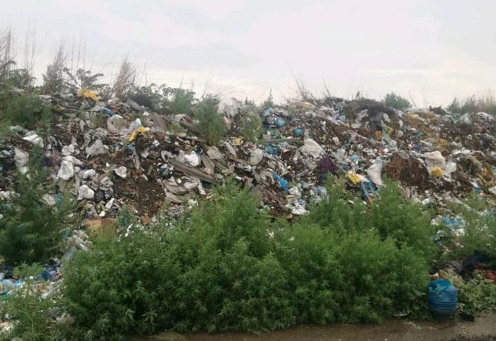 Video: Primăria comunei Ziduri amendată de Garda de Mediu Buzău