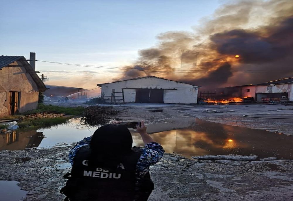 Verificari efectuate in teren de Garda de Mediu ca urmare a incendiului produs in data de 20.06.2022 in municipiul Buzau