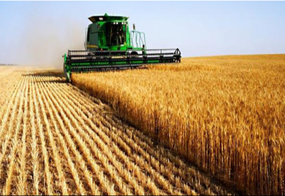  Circa 3.000 hectare de teren din județele Tulcea, Brăila și Buzău sunt scoase la concesionare de ADS