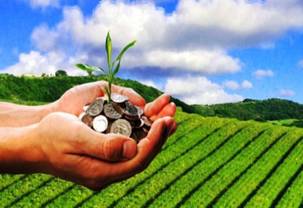 Cele mai multe terenuri agricole vândute în luna septembrie 2022 au fost în județele Galați, Buzău și Brăila