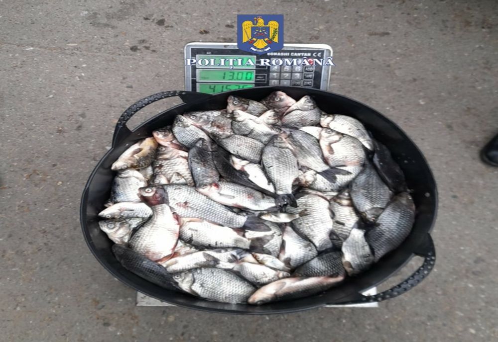 Sancțiuni contravenţionale și dosar penal pentru comiterea infracțiunii privind deținerea, transportul sau comercializarea fără documente legale a peștelui