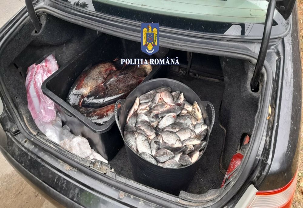 Dosare penale pentru comiterea infracțiunii privind ,,deținerea, transportul sau comercializarea fără documente legale a peștelui”