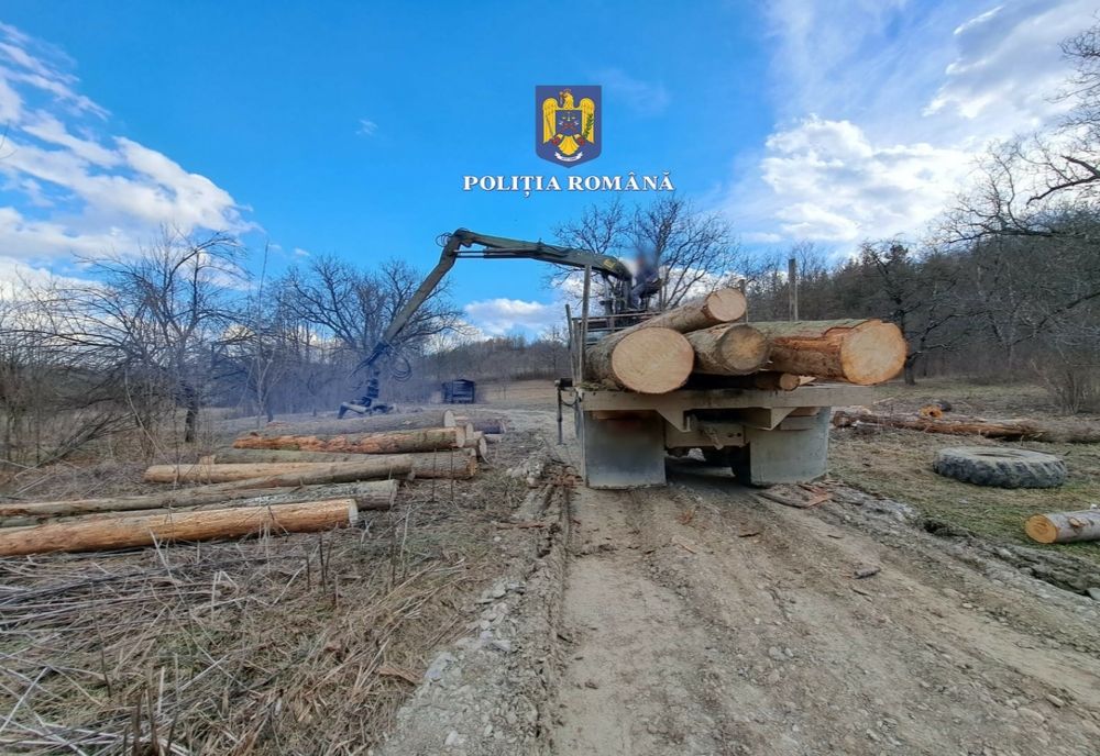 Control pe linia delictelor silvice