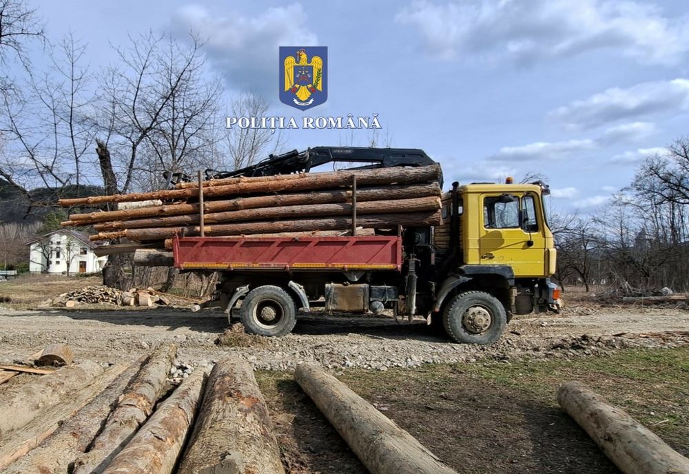 Sancționat de polițiștii buzoieni pentru transport ilegal de material lemnos