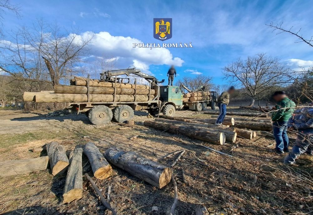 Ar fi efectuat mai multe transporturi de material lemnos, lemn foc, din specia fag, fără respectarea cadrului legislativ incident