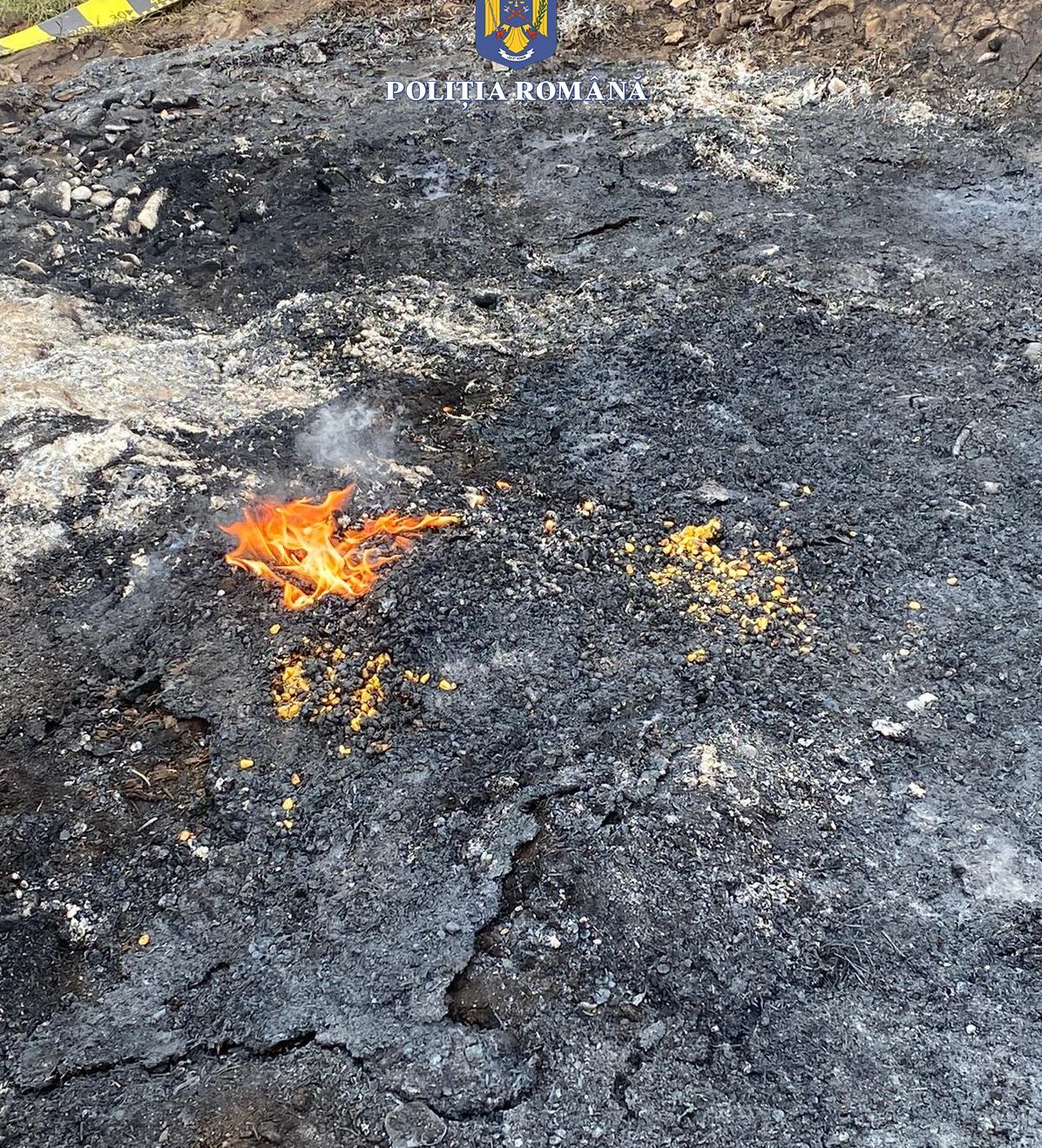 verificari-birou-arme-3