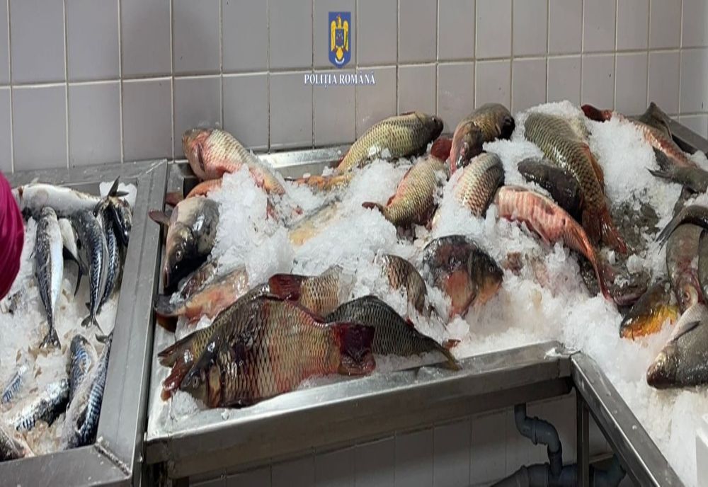 DSVSA Buzău a retras de pe piață peste 600 de kilograme de pește. Au descoperit o larvă periculoasă 
