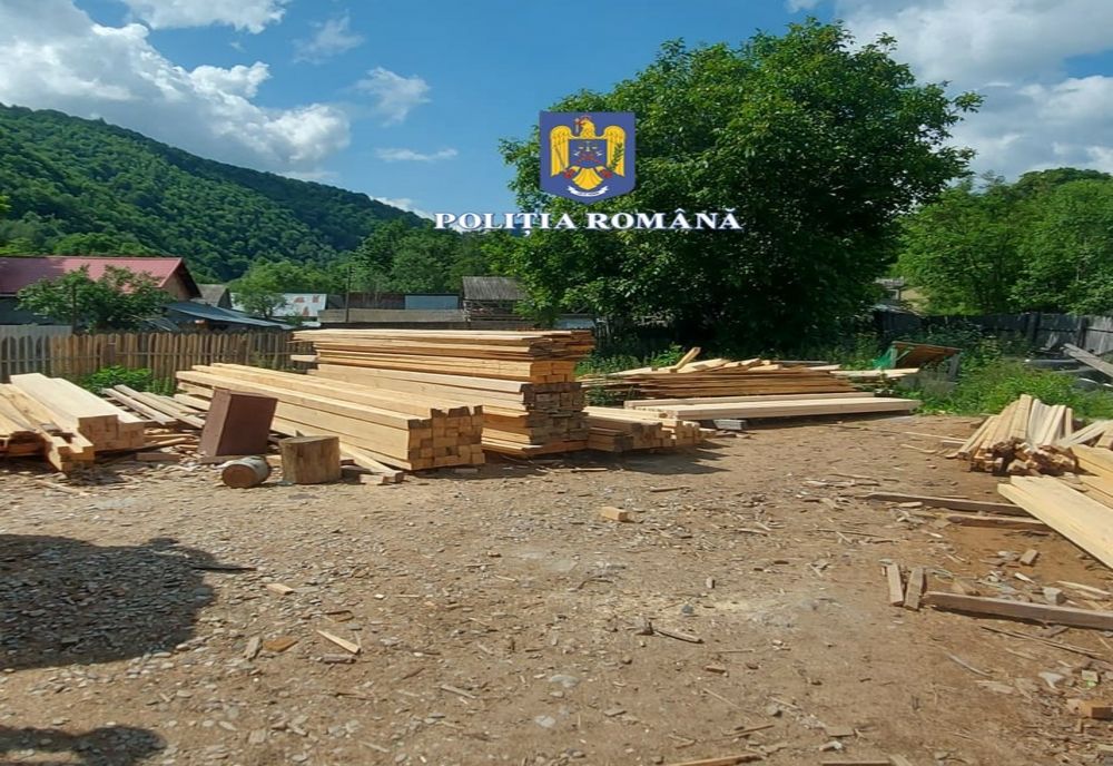 Percheziții la persoane bănuite de tăiere fără drept de arbori din fondul forestier național, furt de arbori și fals informatic
