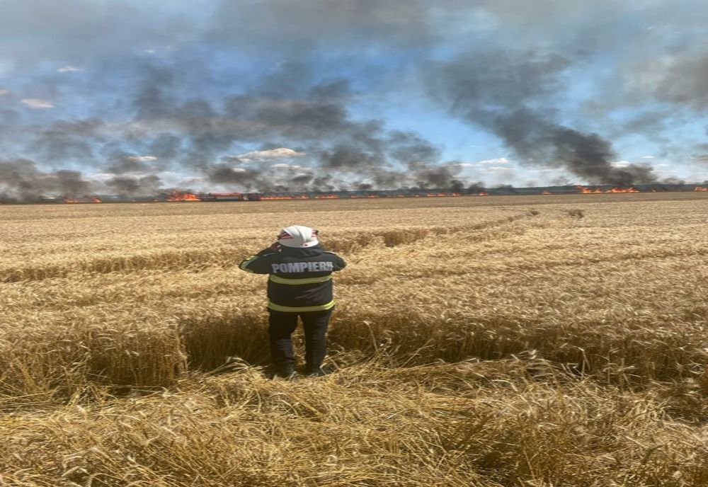 Au ars 50 ha de grâu și orz în localitatea Spătaru din județul Buzău 