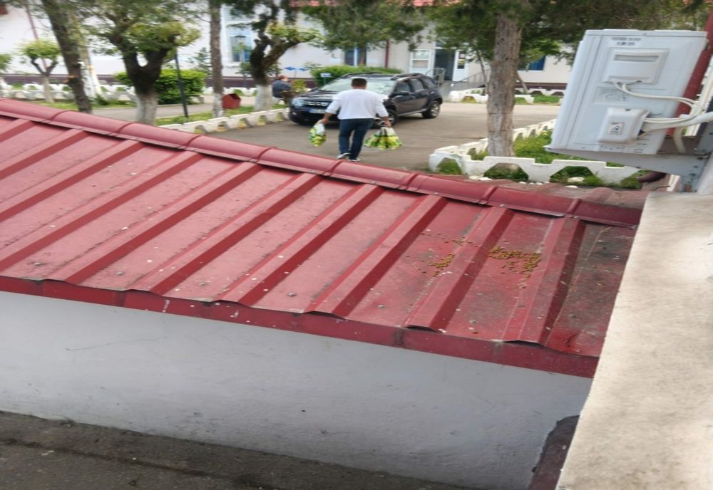 Emanuel Ungureanu, deputat USR de Buzău: CORUPȚIE cu miros de cârnați de Pleșcoi la Ministerul Sănătății