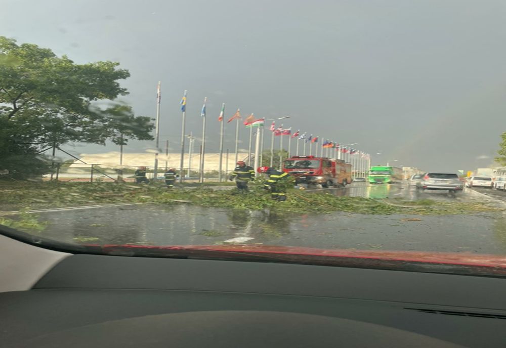 Trei copaci doborâți de furtuni în județul Buzău