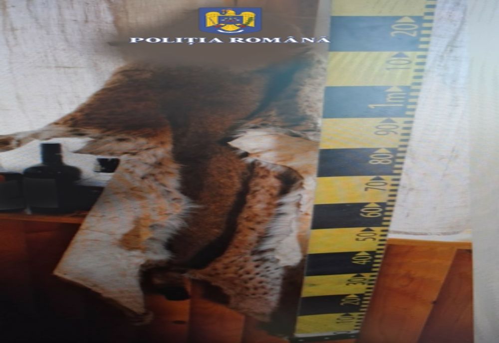 Om de afaceri din Vernești, reținut de polițiști pentru complicitate la braconaj