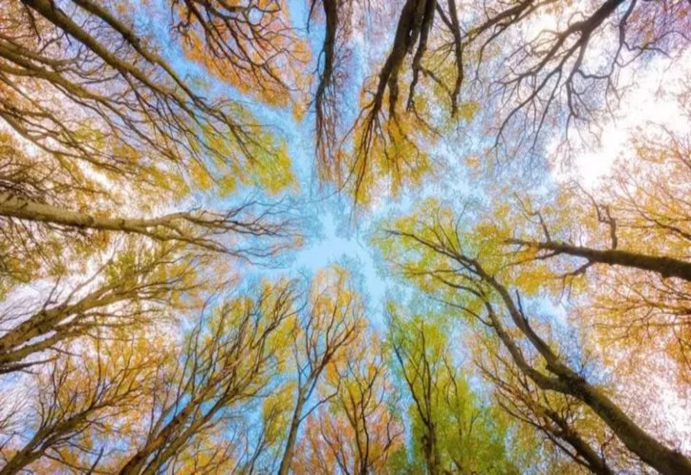 Vremea 29 august. Vreme schimbătoare în toată țara