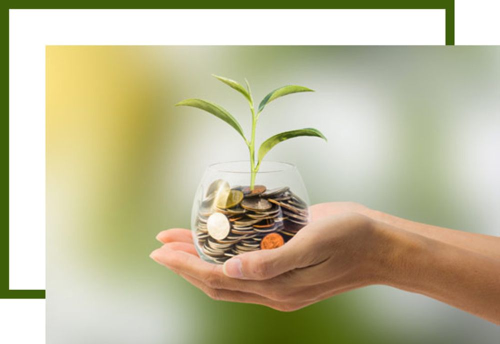 Educația financiară - o noțiune necunoscută românilor. 30% sunt analfabeți financiar