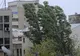 Meteorologii fac anunțul pe care îl așteaptă toată țara. Când încep ploile