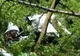 Cercetările în cazul avionului prăbuşit la Nehoiu au fost preluate de Parchetul de pe lângă Curtea de Apel Ploieşti