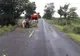 Furtuna a făcut ravagii în județul Buzău