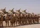 Militar buzoian, ucis în Afganistan