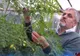 Costel Vânătoru, numit director al Băncii de gene