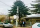 Bradul de Crăciun din centrul Buzăului are o poveste specială