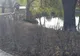 Abandonat de părinţi s-a sinucis la câteva luni după ce a părăsit sistemul de asistenţă socială