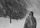 Avertizare din partea meteorologilor. Vine viscolul!