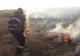 Trafic oprit pe DN2, din cauza unui incendiu de vegetație