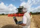 Producătorii din Buzău își pot posta anunțuri de vânzare pe site-ul Direcției Agricole