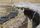 Asociația Pro Infrastructură se arată pesimistă: „întârzierile birocratice vor transforma podul în cel mai rușinos muzeu”
