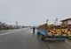 Material lemnos confiscat de polițiștii buzoieni
