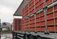 Polițiștii buzoieni au confiscat peste 560 de pui vii