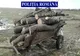 Nereguli constatate de poliţişti la regimul silvic