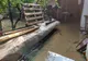 Galerie foto+video: Pagube produse în urma fenomenelor meteo de cod portocaliu din județul Buzău