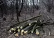 Măsuri pentru prevenirea şi combaterea prejudicierii fondului forestier aplicate de poliţiştii Secţiei de poliţie rurală Grebănu