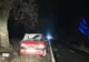 Accident rutier petrecut pe DN22, în afara localității Boldu spre Râmnicelu