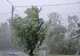 Avertizare meteo cod galben   
