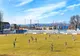 FC Buzău a terminat la egalitate, scor 2-2, amicalul jucat în deplasare cu CSM Focșani 2007
