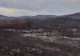 VIDEO: Un incendiu a mistuit circa 700 de ha de vegetație uscată pe raza comunei Scorțoasa