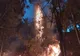 VIDEO: Filmul intervenției cu aeronave militare pentru stingerea incendiului de la Berca