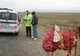 Vânzător de ceapă găsit mort pe șosea