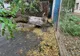 Ploaia scurtă, însă de mare intensitare, după câteva ore toride, a produs fenomene nedorite în Râmnicu Sărat