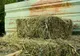 Bănuit a furat lucernă de pe o suprafață de 3 ha, depistat de polițiști