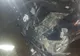 Foto: Un bărbat de 35 de ani, fără permis de conducere și aflat și sub influența alcoolului, a produs un accident în care 5 persoane au fost rănite