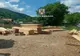 Percheziții la persoane bănuite de tăiere fără drept de arbori din fondul forestier național, furt de arbori și fals informatic