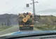 Dosar penal pentru transport ilegal de material lemnos/ Peste 43 de metri cubi confiscați