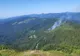 INCENDIU PE 10 HECTARE DE VEGETAȚIE USCATĂ