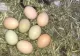 Tot mai mulți români se mută de la oraș la sat pentru o viață mai ieftină, mai liniștită și mai aproape de natură